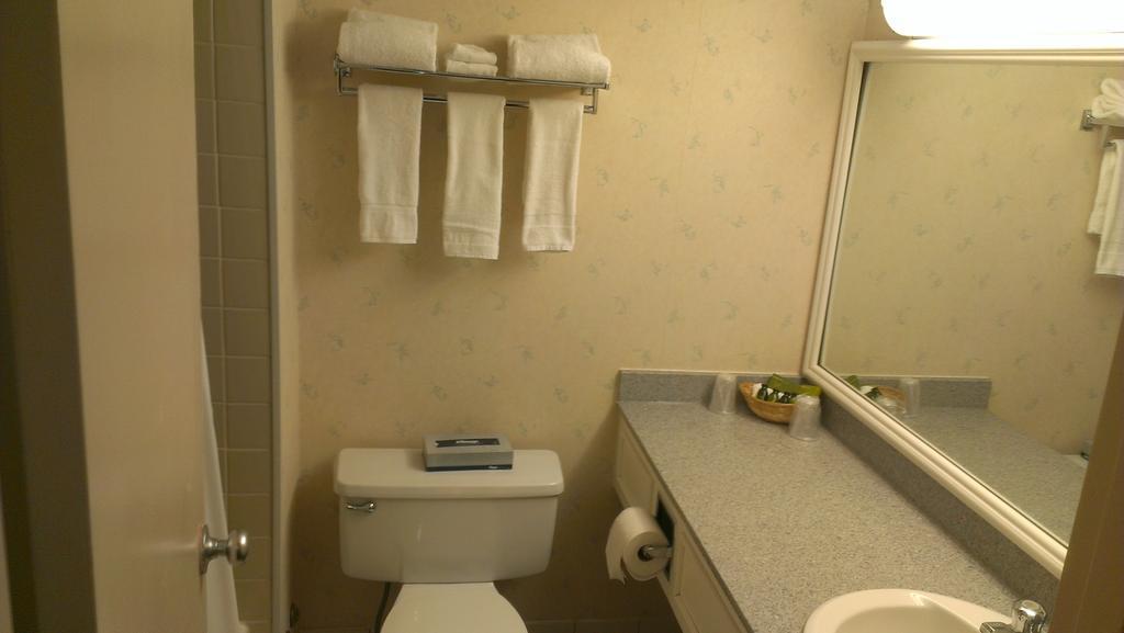 Mcgill University New Residence Hall Montreal Room photo